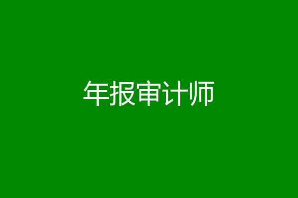 年报审计师
