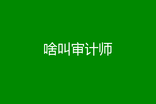 啥叫审计师