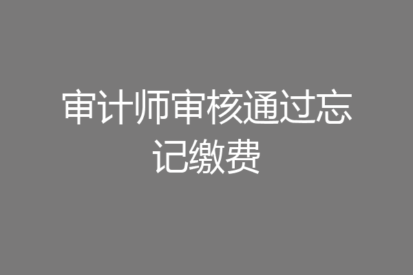 审计师审核通过忘记缴费
