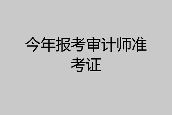今年报考审计师准考证