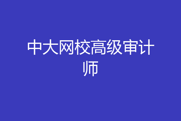 中大网校高级审计师