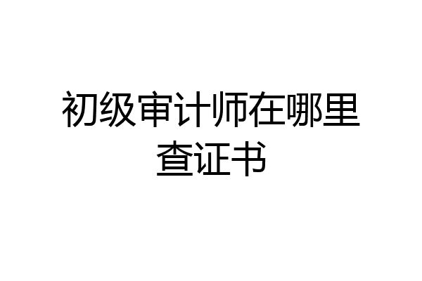 初级审计师在哪里查证书