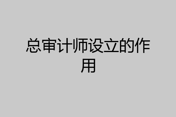 总审计师设立的作用
