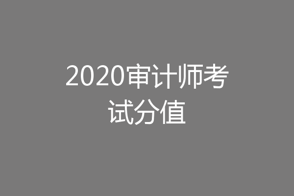 2020审计师考试分值