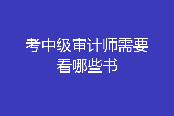 考中级审计师需要看哪些书
