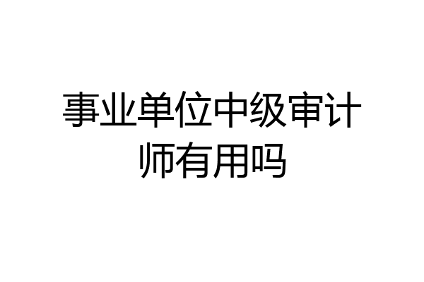 事业单位中级审计师有用吗