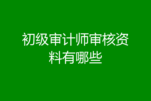 初级审计师审核资料有哪些