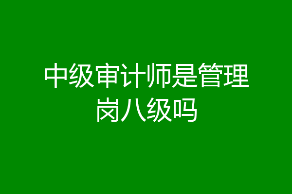 中级审计师是管理岗八级吗
