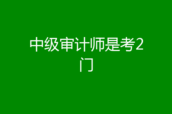 中级审计师是考2门