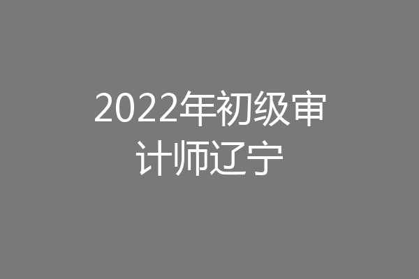 2022年初级审计师辽宁