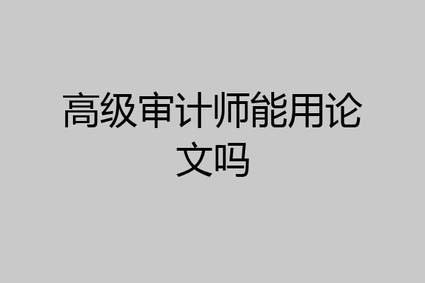 高级审计师能用论文吗