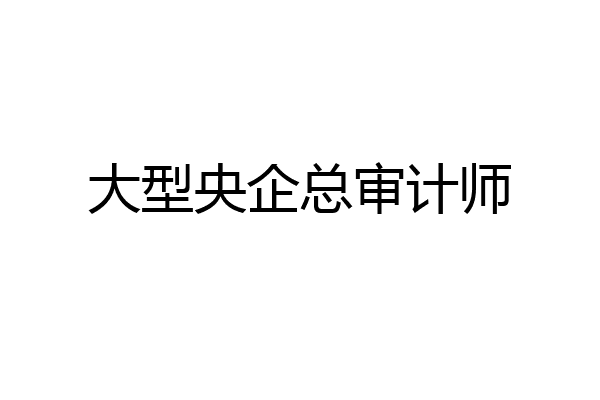 大型央企总审计师