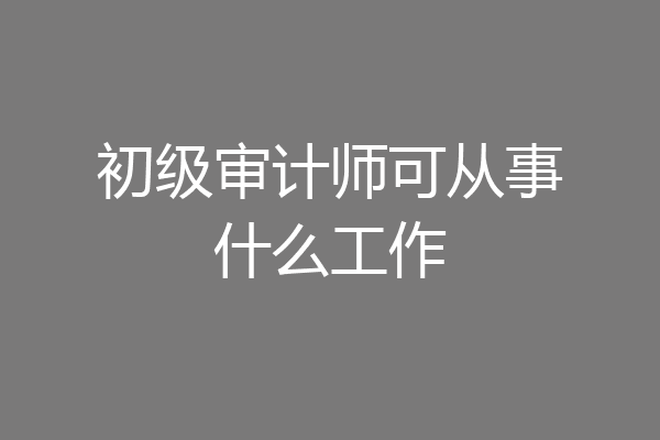 初级审计师可从事什么工作