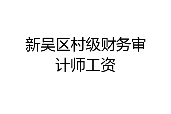新吴区村级财务审计师工资