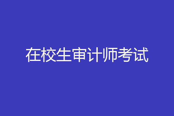 在校生审计师考试