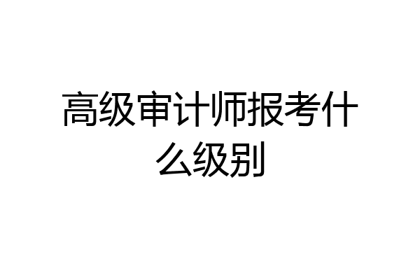 高级审计师报考什么级别