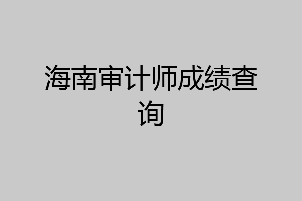 海南审计师成绩查询