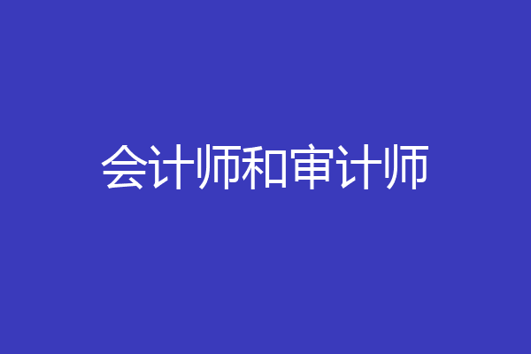 会计师和审计师