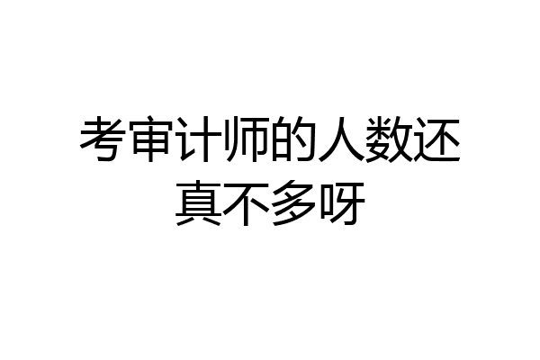 考审计师的人数还真不多呀