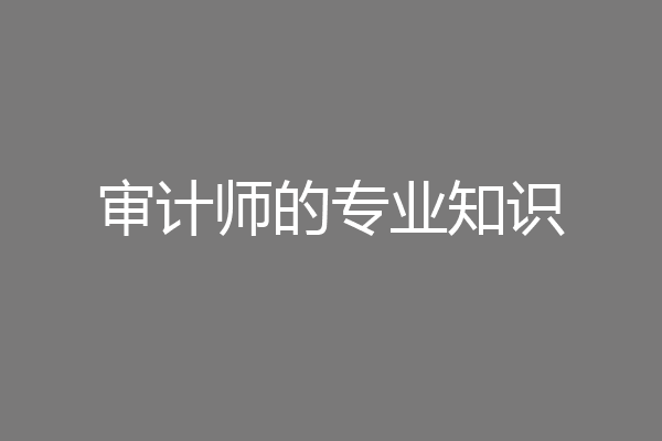 审计师的专业知识