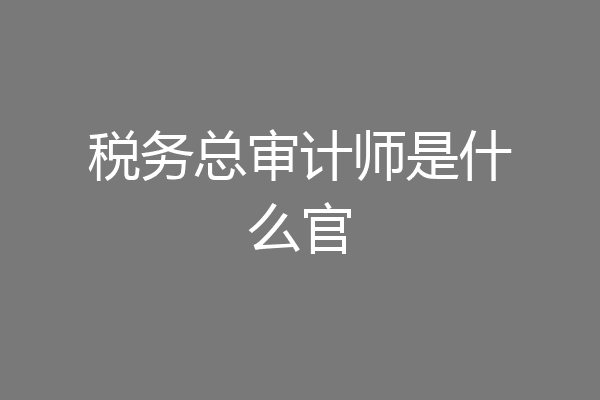 税务总审计师是什么官