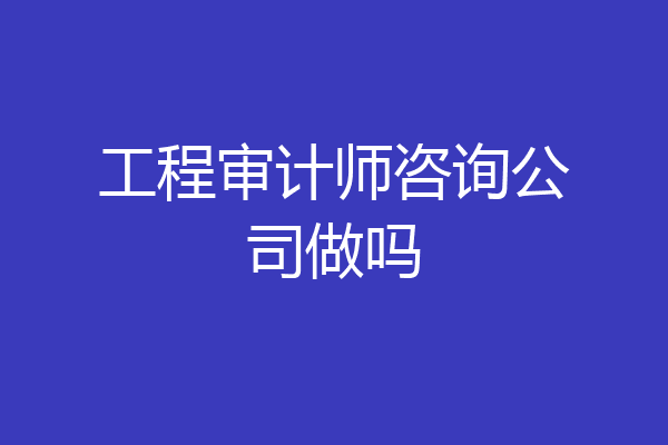 工程审计师咨询公司做吗