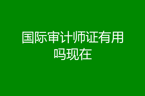 国际审计师证有用吗现在