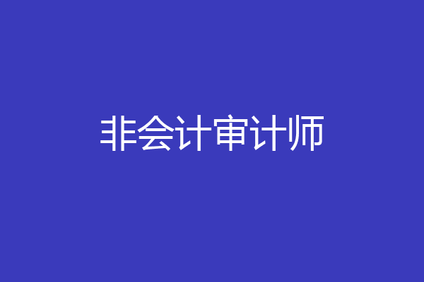 非会计审计师