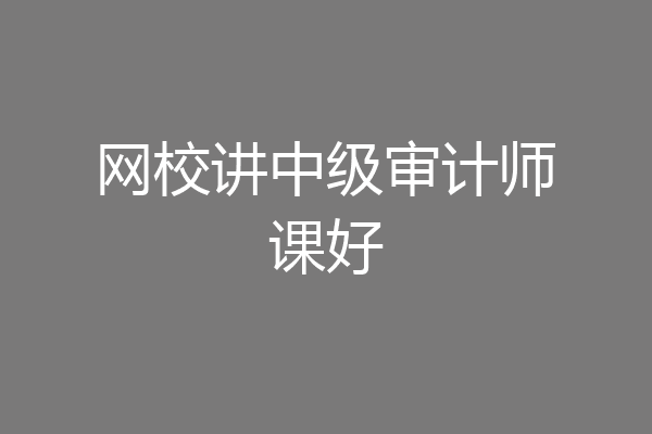 网校讲中级审计师课好