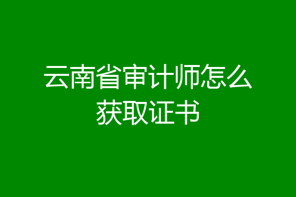 云南省审计师怎么获取证书