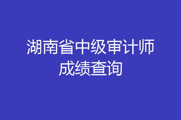 湖南省中级审计师成绩查询