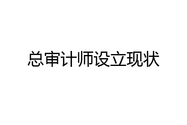 总审计师设立现状