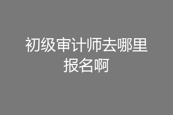 初级审计师去哪里报名啊