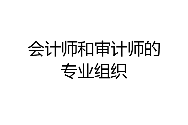会计师和审计师的专业组织