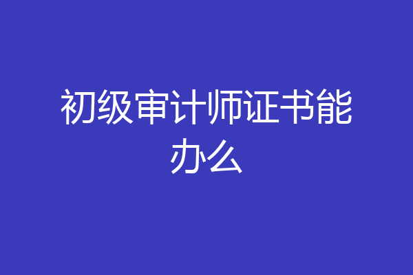 初级审计师证书能办么