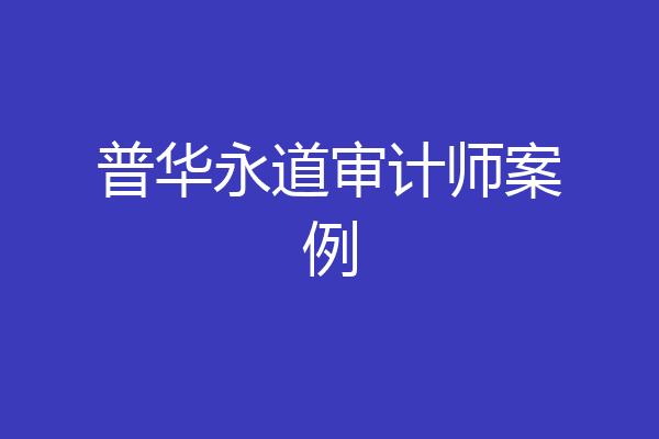 普华永道审计师案例