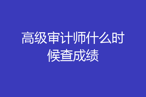 高级审计师什么时候查成绩