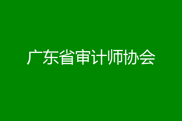 广东省审计师协会