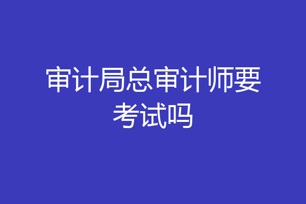 审计局总审计师要考试吗