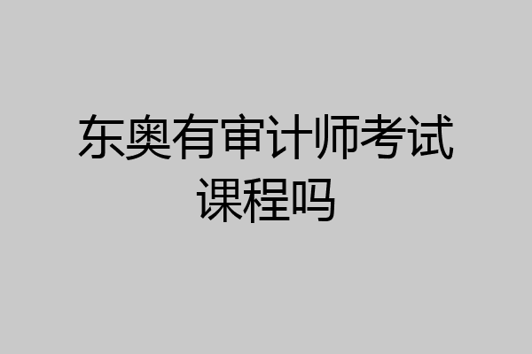 东奥有审计师考试课程吗