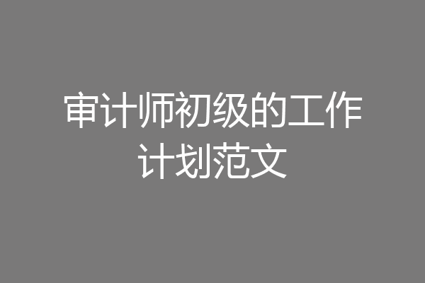 审计师初级的工作计划范文