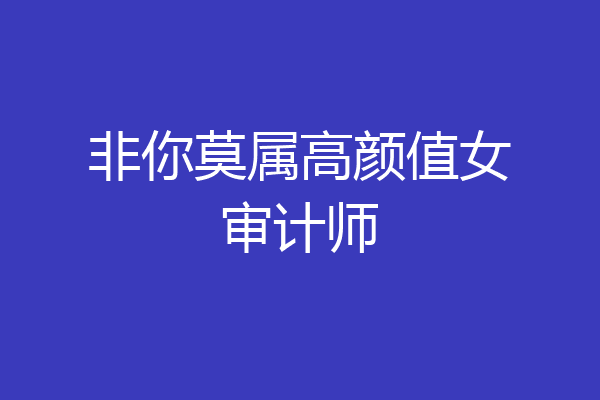 非你莫属高颜值女审计师