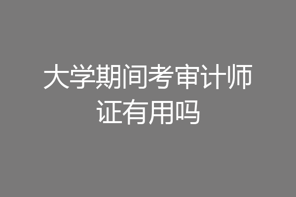 大学期间考审计师证有用吗