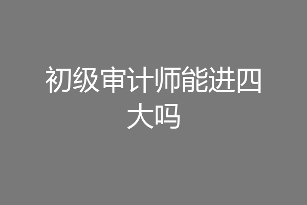 初级审计师能进四大吗