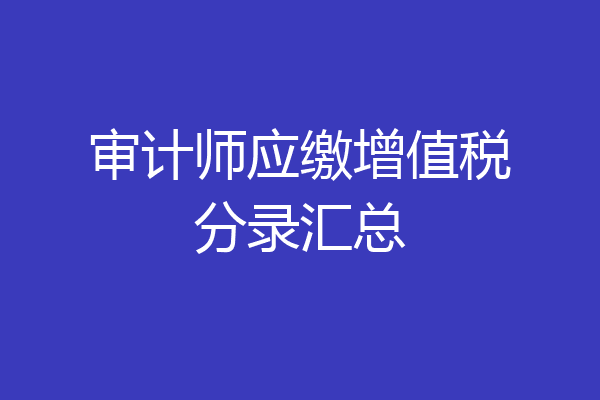 审计师应缴增值税分录汇总