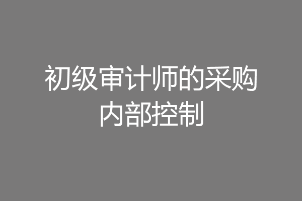 初级审计师的采购内部控制