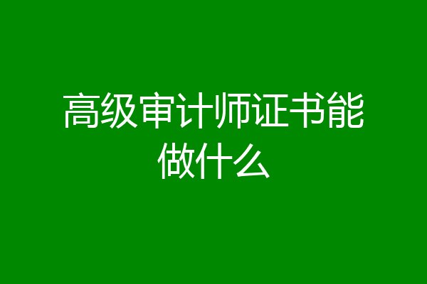 高级审计师证书能做什么