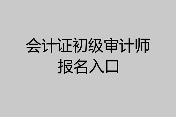 会计证初级审计师报名入口
