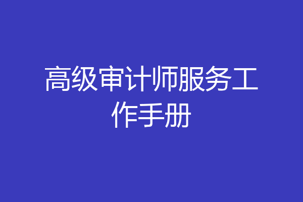 高级审计师服务工作手册