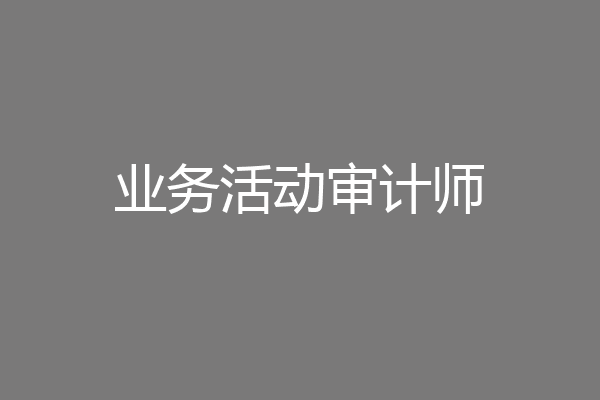 业务活动审计师